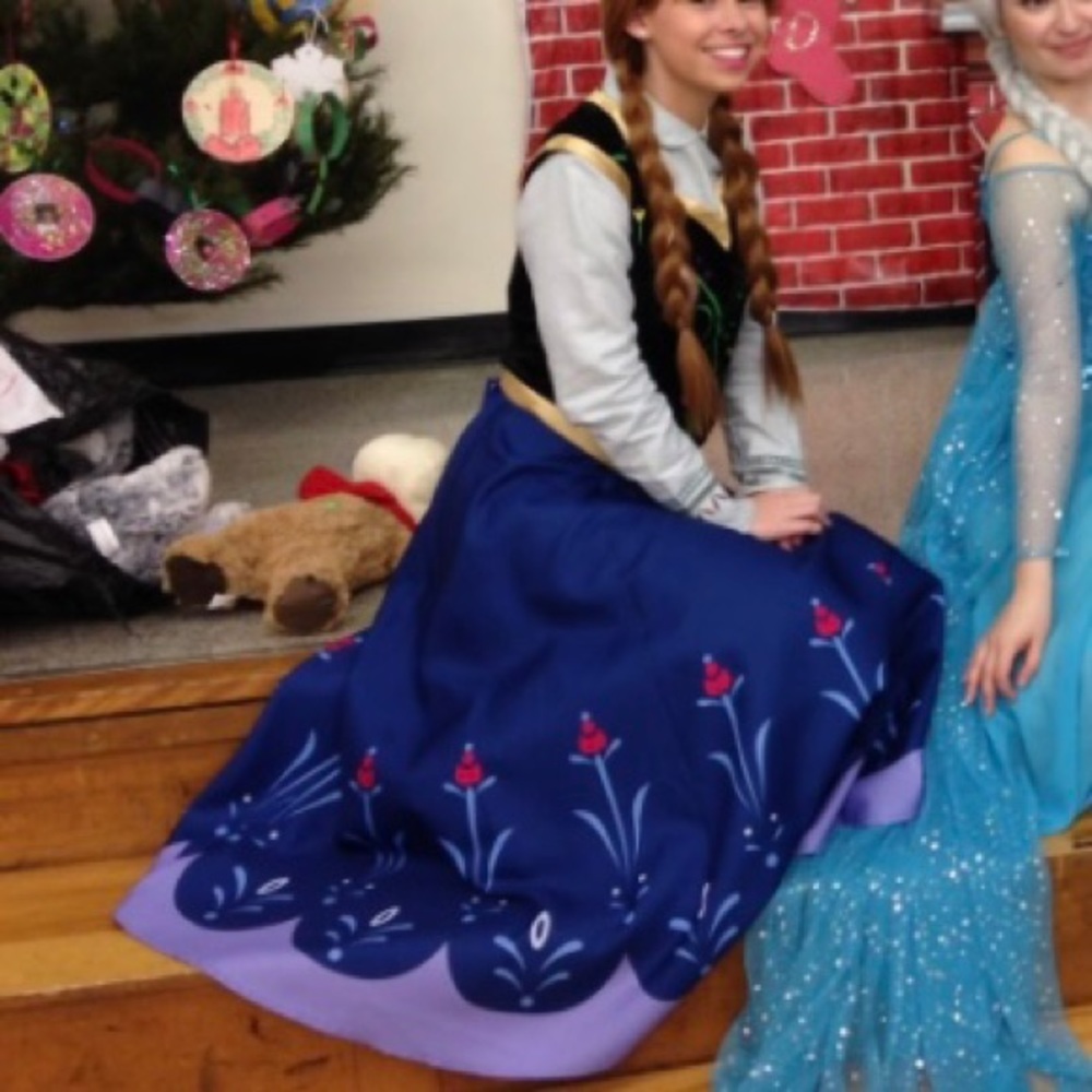 Disney Fozen Princess Anna Adult Costume